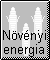 Nvnyi eredet energia